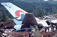 대한항공기 괌 추락사고 희생자 사진