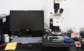 실체현미경을 통한 미세증거물의 관찰 및 사진1