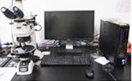 편광현미경을 통한 미세증거물의 형태분석1